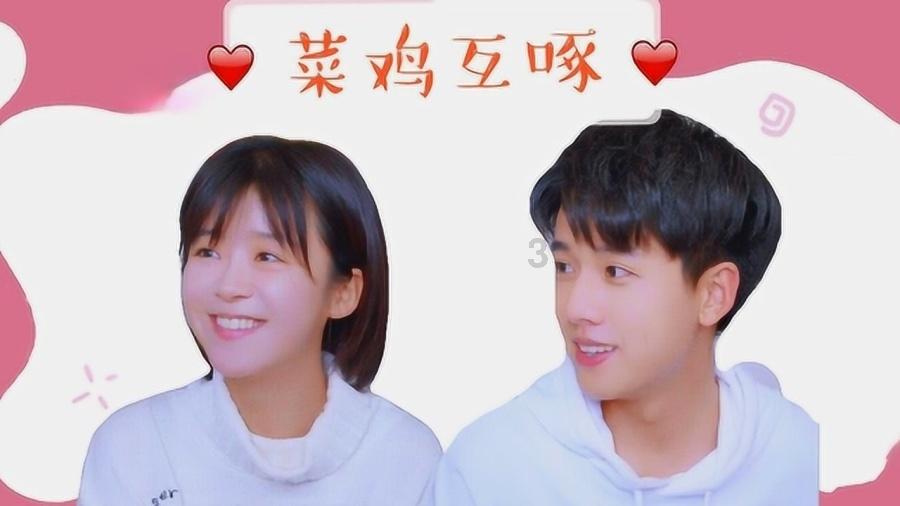 开罗模拟经营游戏《发现动物公园》首发售价18元